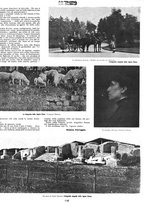 giornale/CFI0351902/1916/unico/00000083
