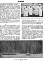 giornale/CFI0351902/1917/unico/00000129