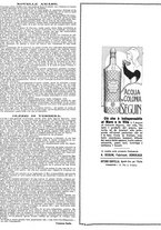 giornale/CFI0351902/1917/unico/00000195