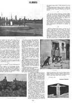 giornale/CFI0351902/1917/unico/00000337