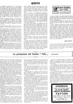 giornale/CFI0351902/1919/unico/00000487