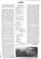 giornale/CFI0351902/1922/unico/00000361