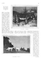 giornale/CFI0351902/1927/unico/00000255