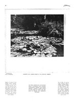 giornale/CFI0351902/1927/unico/00000816