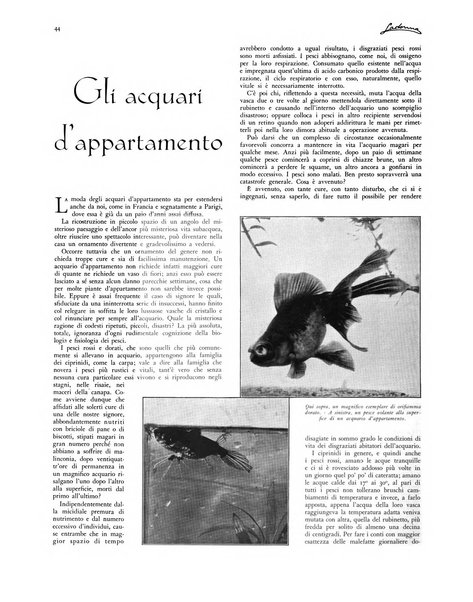 La donna rivista quindicinale illustrata