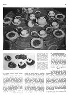 giornale/CFI0351902/1933/unico/00000201