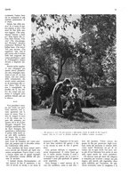 giornale/CFI0351902/1933/unico/00000251