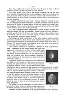 giornale/CFI0352557/1892/unico/00000177