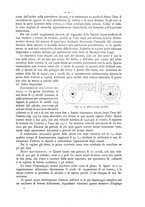 giornale/CFI0352557/1894/unico/00000063