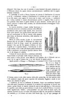 giornale/CFI0352557/1895/unico/00000291