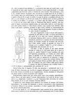 giornale/CFI0352557/1897/unico/00000136