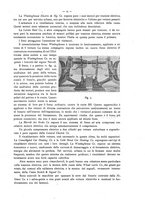 giornale/CFI0352557/1902/unico/00000031