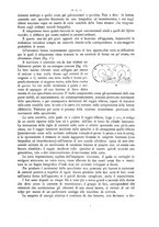 giornale/CFI0352557/1902/unico/00000033