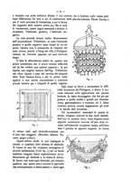 giornale/CFI0352557/1902/unico/00000093