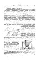 giornale/CFI0352557/1903/V.12-Supplemento/00000023
