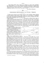 giornale/CFI0352557/1903/V.12/00000036
