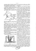 giornale/CFI0352557/1903/V.12/00000037