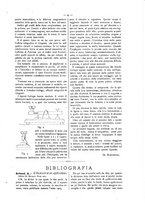 giornale/CFI0352557/1903/V.12/00000061