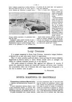 giornale/CFI0352557/1903/V.12/00000191