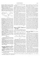 giornale/CFI0352557/1904/unico/00000187