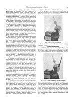 giornale/CFI0352557/1906/V.15-Supplemento/00000077