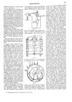 giornale/CFI0352557/1906/V.15/00000363