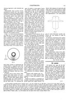 giornale/CFI0352557/1908/unico/00000135