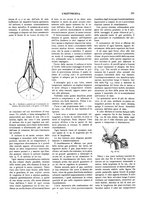 giornale/CFI0352557/1911/unico/00000219