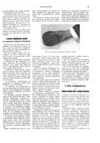 giornale/CFI0352557/1915/unico/00000071