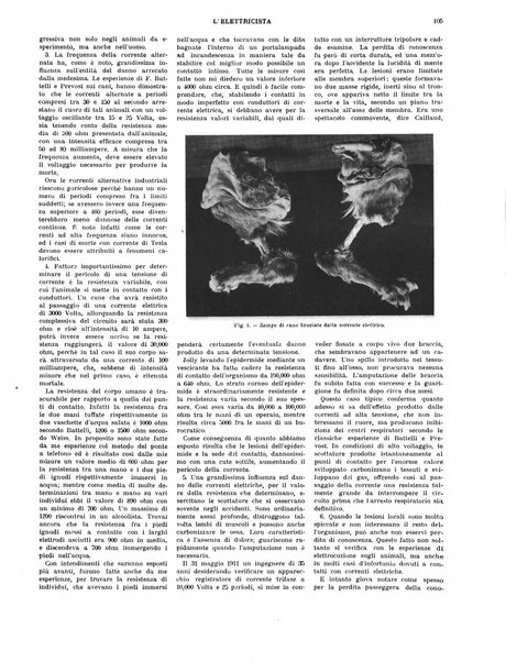 L'elettricista rivista mensile di elettrotecnica