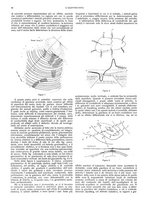 giornale/CFI0352557/1928/unico/00000086