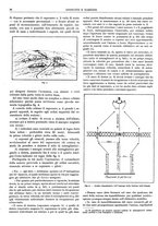 giornale/CFI0352750/1926/unico/00000048