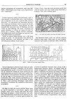 giornale/CFI0352750/1926/unico/00000241