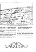 giornale/CFI0352750/1926/unico/00000249
