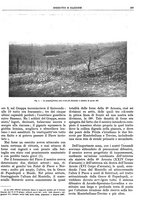 giornale/CFI0352750/1926/unico/00000437