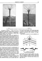 giornale/CFI0352750/1926/unico/00001021