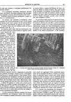 giornale/CFI0352750/1927/unico/00000961