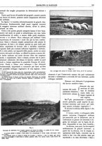 giornale/CFI0352750/1928/unico/00000169