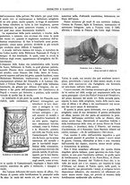 giornale/CFI0352750/1928/unico/00000449