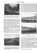 giornale/CFI0352750/1929/unico/00000168