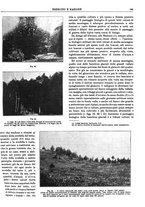 giornale/CFI0352750/1929/unico/00000175