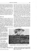 giornale/CFI0352750/1929/unico/00000961