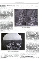 giornale/CFI0352750/1930/unico/00000045