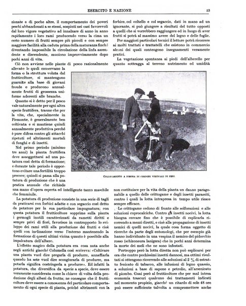 Esercito e nazione rivista per l'ufficiale italiano