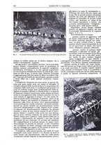 giornale/CFI0352750/1931/unico/00000236