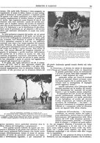 giornale/CFI0352750/1931/unico/00000825