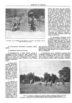 giornale/CFI0352750/1931/unico/00000826