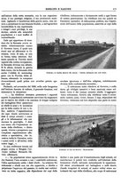giornale/CFI0352750/1931/unico/00000919