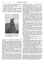 giornale/CFI0352750/1931/unico/00001022