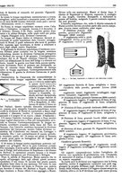 giornale/CFI0352750/1933/unico/00000361